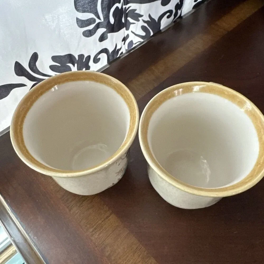 Mikasa Garden Club Day Dreams Bouquet Set of Two Mugs EC 461 Japan
